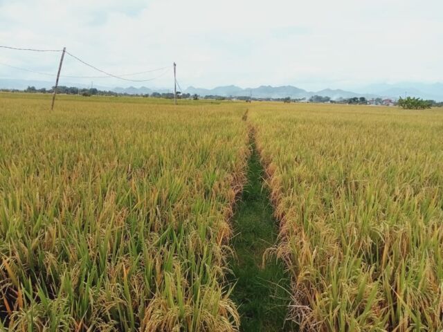 WhatsApp Image 2026-01-07 at 11.05.54