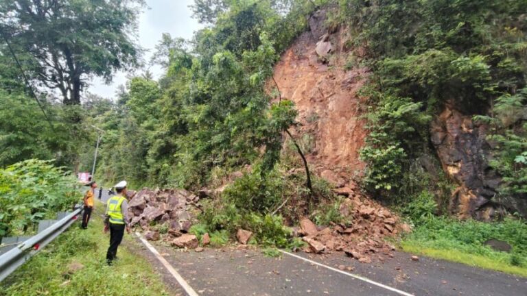 WhatsApp Image 2026-02-27 at 10.23.58