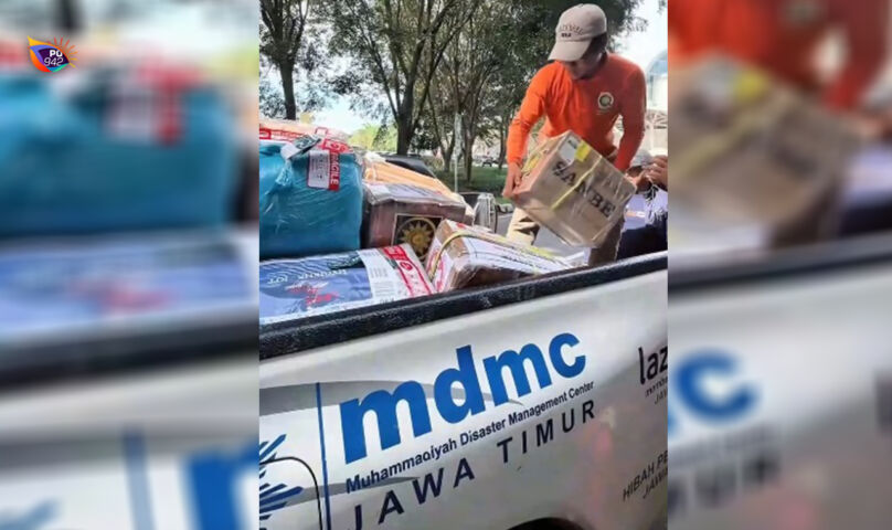 mdmc