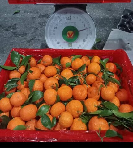 649305112_1369357964959498_3504821377663117912_n