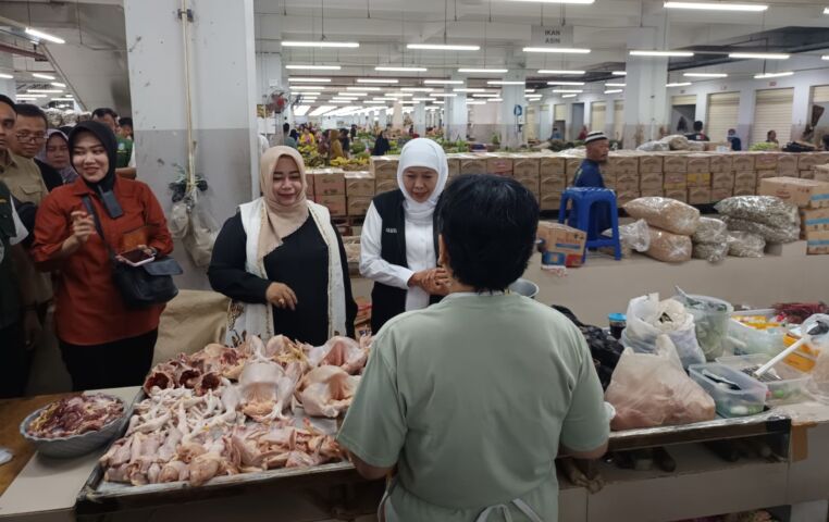 WhatsApp Image 2026-03-29 at 10.51.17