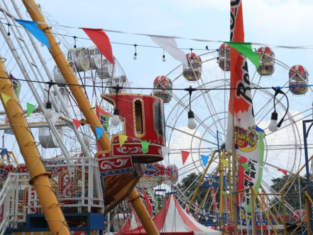 WhatsApp Image 2026-04-02 at 08.18.24