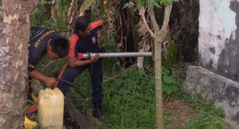 WhatsApp Image 2026-04-06 at 17.55.52