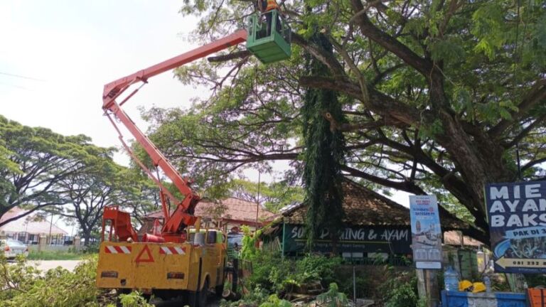 WhatsApp Image 2026-04-14 at 11.36.20