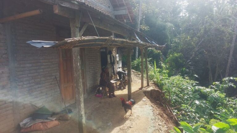 WhatsApp Image 2026-04-18 at 13.33.47