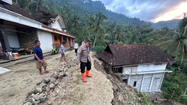 WhatsApp Image 2026-04-18 at 13.41.50