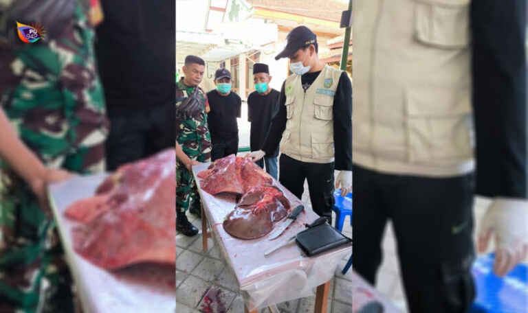 Dipertahankan turun lakukan pemeriksaan ke lokasi penyembelihan hewan kurban (foto: Plt Kabid Peternakan, Kesehatan Hewan dan Perikanan drh Wikan Dediastuti)