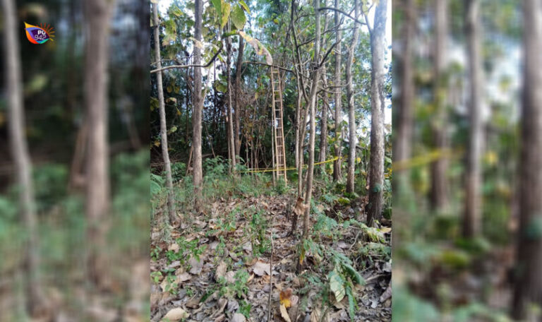 TKP Terjatuh dari Tangga Bambu di Babadan (Foto: Marsudi Jamal)
