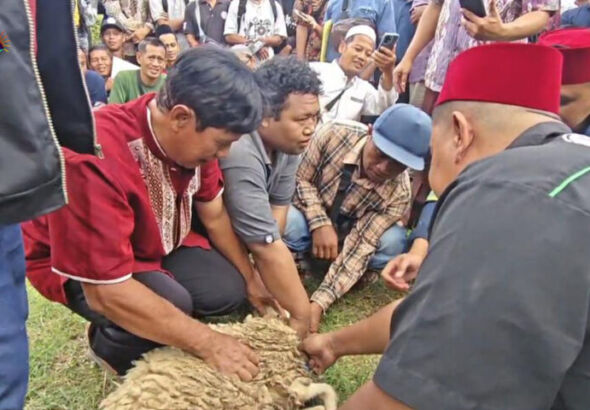 praktek peserta sertifikasi juleha