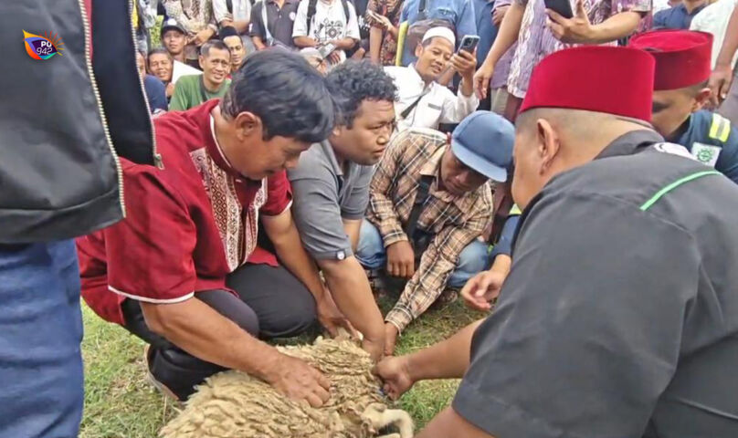 praktek peserta sertifikasi juleha