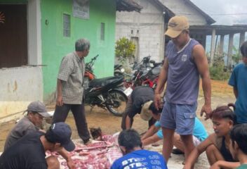 mushola di dukuh krajan desa Wonodadi Ngrayun dapat bantuan hewan kurban (foto: Hengki)