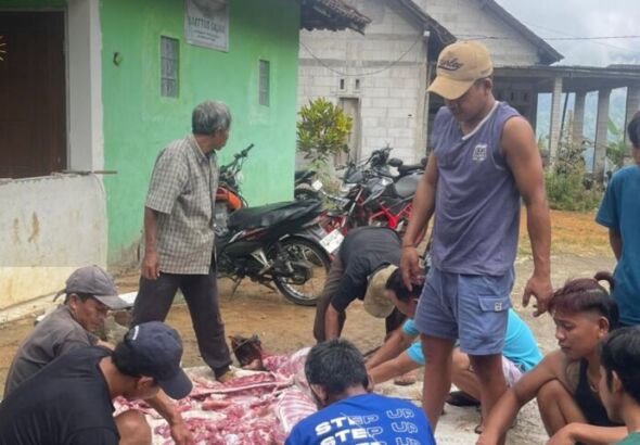 mushola di dukuh krajan desa Wonodadi Ngrayun dapat bantuan hewan kurban (foto: Hengki)
