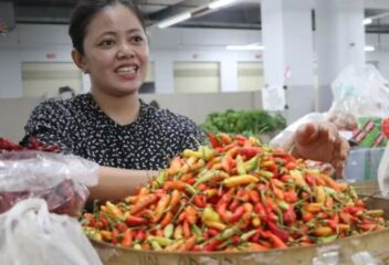 Cabai Rawit Tembus Rp71 Ribu per Kg (foto: Istimewa)