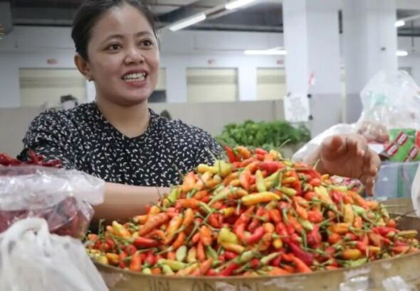 Cabai Rawit Tembus Rp71 Ribu per Kg (foto: Istimewa)
