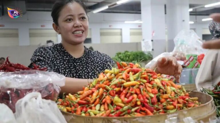 Cabai Rawit Tembus Rp71 Ribu per Kg (foto: Istimewa)