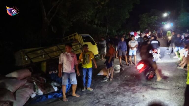 truck muatan pupuk kompos terguling di Tanjakan (foto: Suwito)