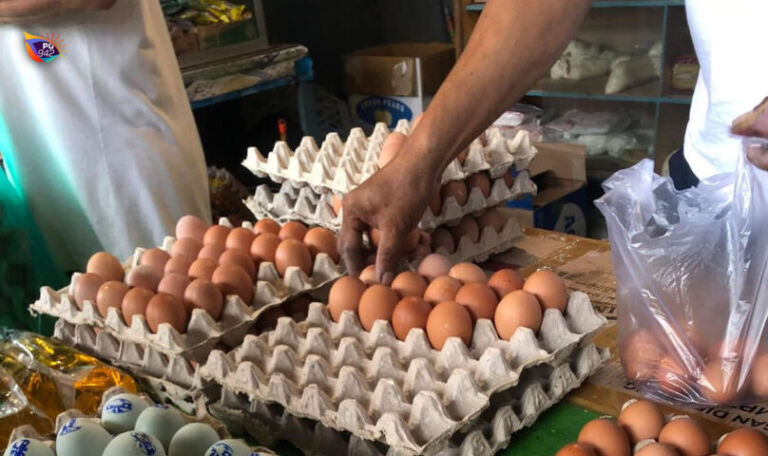 Harga Telur Ayam Anjlok di Bawah HAP