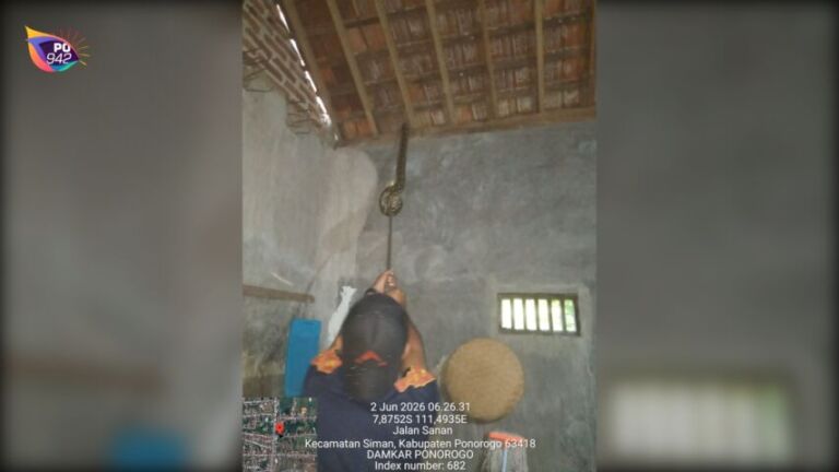 evakuasi ular pithon di dua lokasi (foto: yudi)