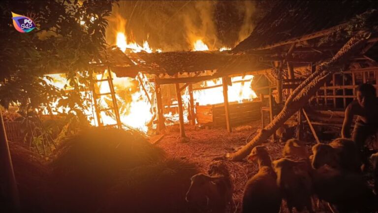 Kondisi 2 Kandang Sapi dan Kambing saat Kebakaran. (foto: Bambang Supeno)