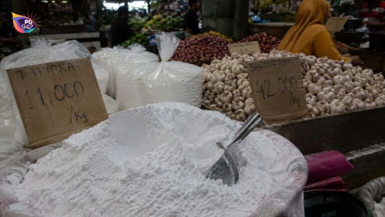 Harga Tepung Tapioka dan Bawang Putih di Pasar Legi (foto: Ilustrasi)