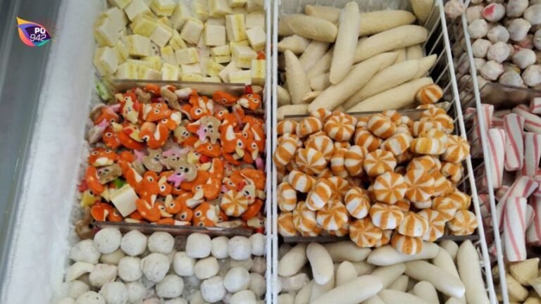 freezer tempat menyimpan makanan beku (foto: IStimewa)