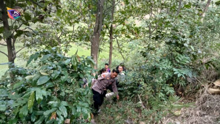 proses evakuasi korban terperosok ke jurang (foto: Plt Kapolsek Bungkal,Ipda Muhammad Khudori)