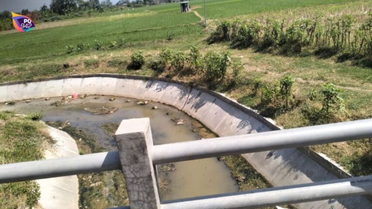 penampakan sungai polorejo yang tercemar (foto: Ervina)