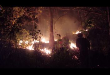 Dalam Semalam, Karhutla di 3 Lokasi (Foto: Ismoyo)