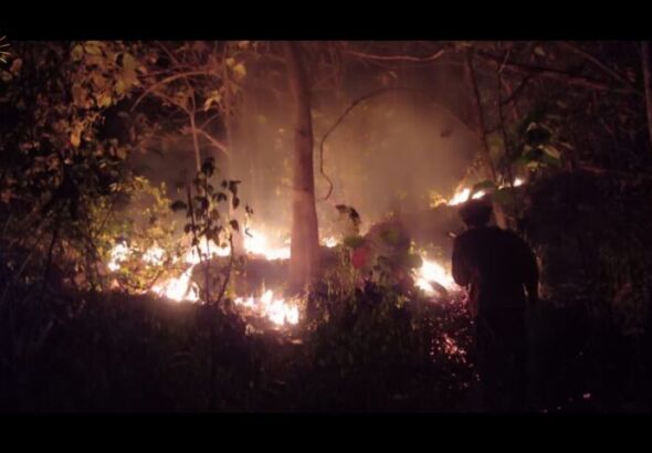 Dalam Semalam, Karhutla di 3 Lokasi (Foto: Ismoyo)