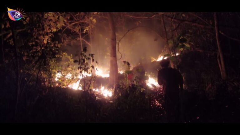 Dalam Semalam, Karhutla di 3 Lokasi (Foto: Ismoyo)