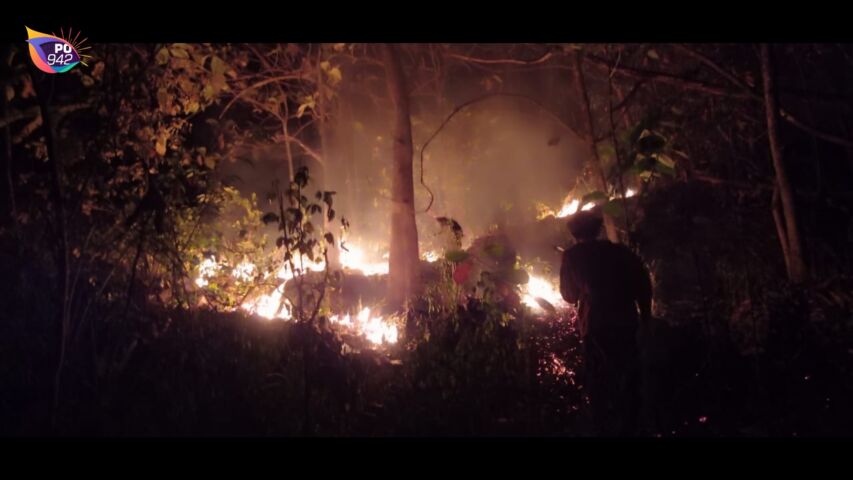 Dalam Semalam, Karhutla di 3 Lokasi (Foto: Ismoyo)