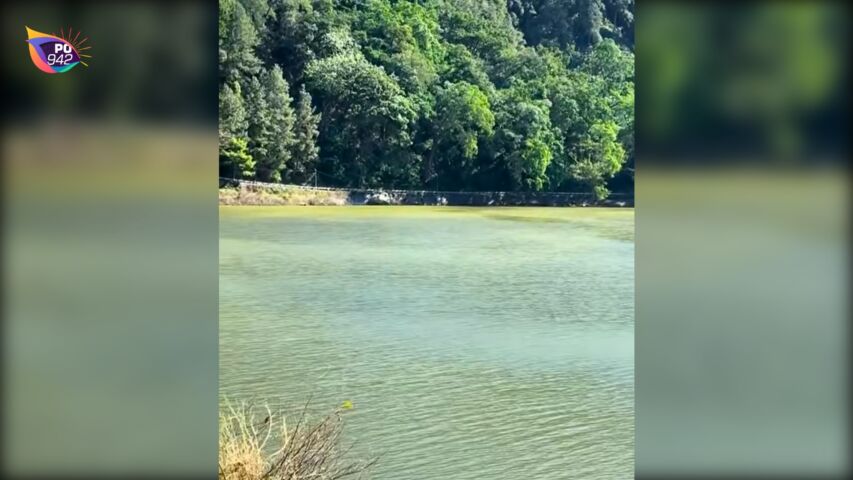 Fenomena Belerang Naik di Telaga Ngebel (Foto: Istimewa)