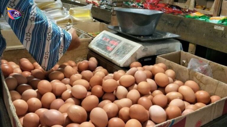 Harga Telur Ayam Mulai Naik karna MBG Mulai Aktif dan Banyak Hajatan (Foto: Istimewa)