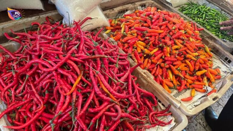 Harga Timun Kacang Panjang Naik, Cabai Justru semakin Murah (Foto: Istimewa)