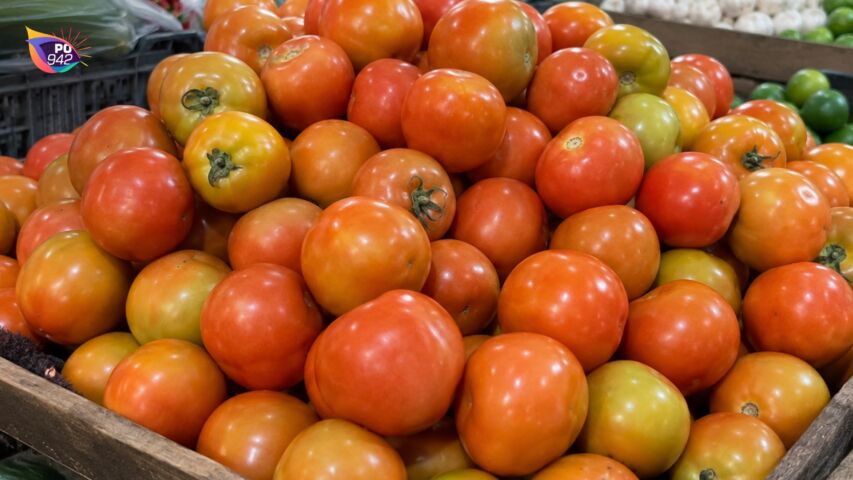 Harga Tomat Anjlok Rp.7.000 per kilogram (Foto: Ilustrasi)