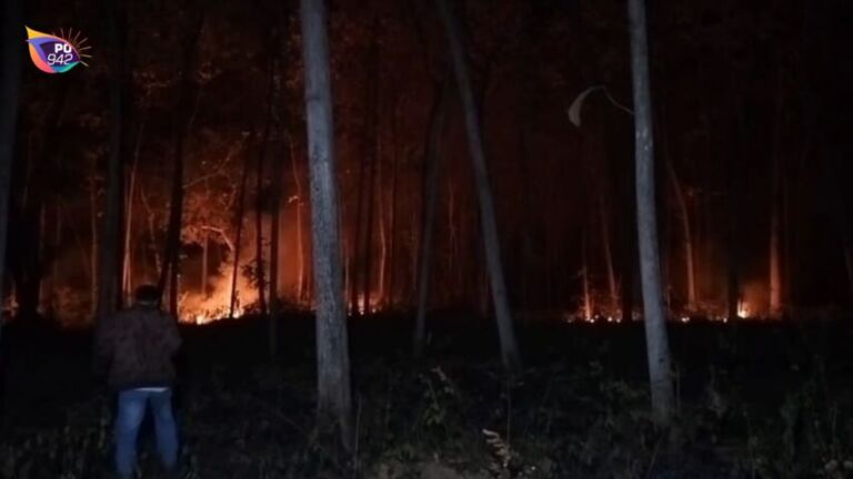 Hutan Lindung Seluas 2 Hektare di Sampung Terbakar (Foto: Yudi)