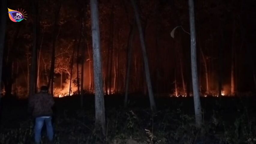 Hutan Lindung Seluas 2 Hektare di Sampung Terbakar (Foto: Yudi)