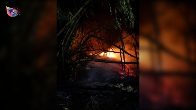Kebakaran Rumpun Bambu di Pinggirsari (Foto: Bambang Supeno)
