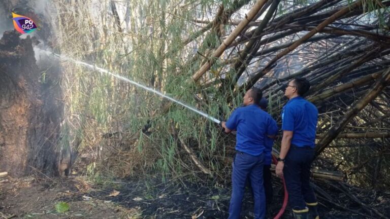 Damkar Jinakkan Kebakaran Rumpun Bambu di Kelurahan Paju (foto: Bambang Supeno)
