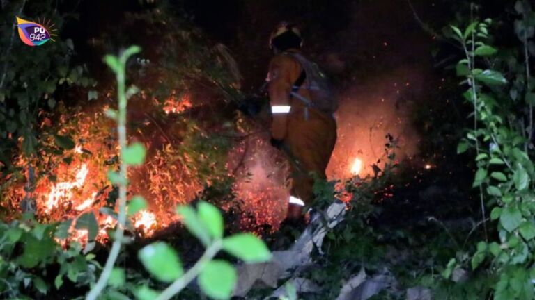 5 Hektar Hutan di Gunung Dloko dan Gunung Gede Desa Tatung Balong Terbakar (Foto: Yudi)