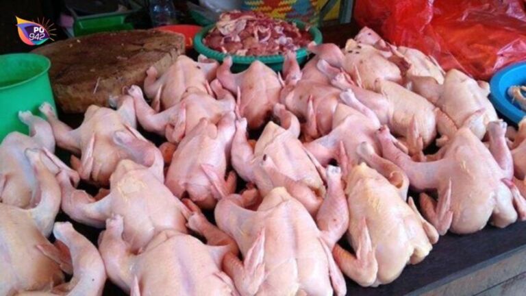 Tak Ada MBG, Harga Daging Ayam Potong Anjlok (Foto: Istimewa)