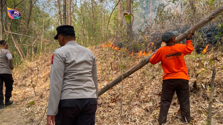 2 Hektare Hutan Terbakar di Sambit (Foto: Isa)