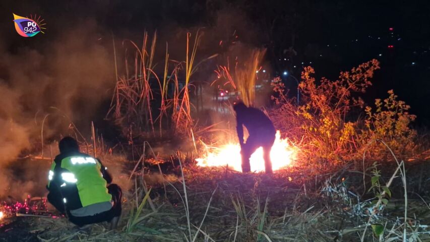 2 Hektare Lahan Tebu di Desa Plunturan Terbakar (Foto: Yudi)