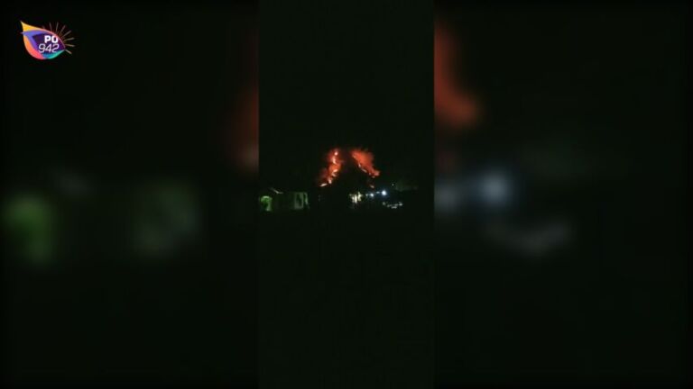 5 Hektare Lahan Hutan Jati Terbakar di Desa Biting Badegan (Foto: Bambang Warsito)