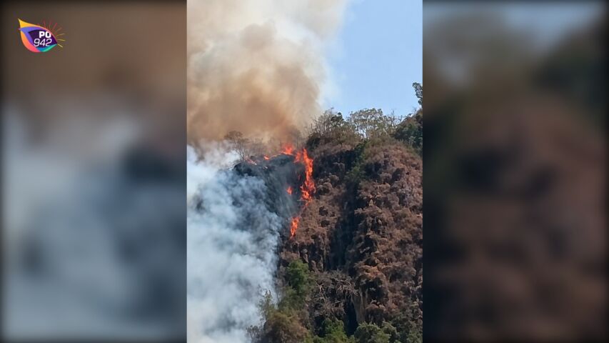 Gunung Loreng Slahung Terbakar (Foto: Istimewa)