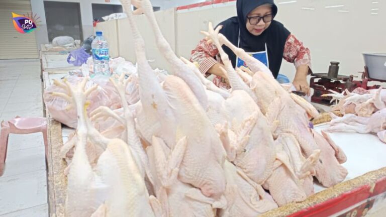 Harga Daging Ayam Rp39000 per Kg (Foto: Yudi)