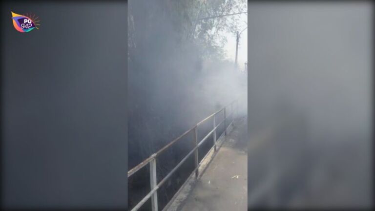 Kebakaran Rumpun Bambu di Barat Jembatan Gilangsari Sukorejo (Foto: Riyadi)