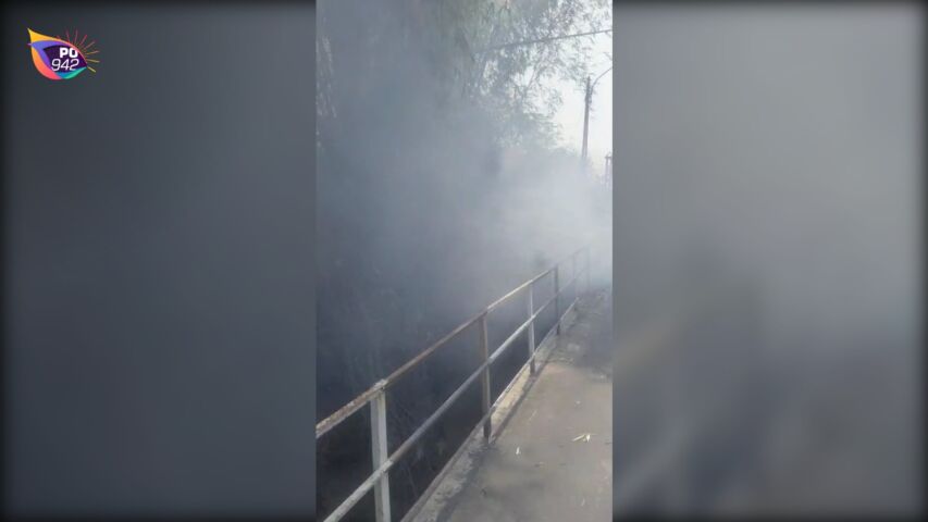 Kebakaran Rumpun Bambu di Barat Jembatan Gilangsari Sukorejo (Foto: Riyadi)