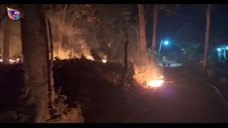Kebakaran di Desa Paringan Jenangan (Foto: Wendi)