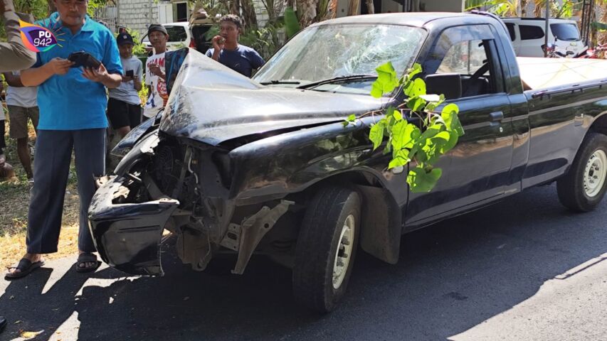 Laka Tunggal di Sraten Jenangan Ponorogo, Pikap Tabrak Pohon Mangga (Foto: Amrih Widodo)